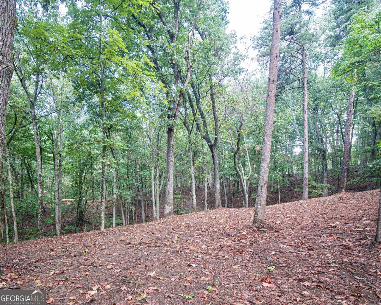 residential lot for sale at 480 Pin Hook Road, Ranger, GA 30734 — photo 1 of 12