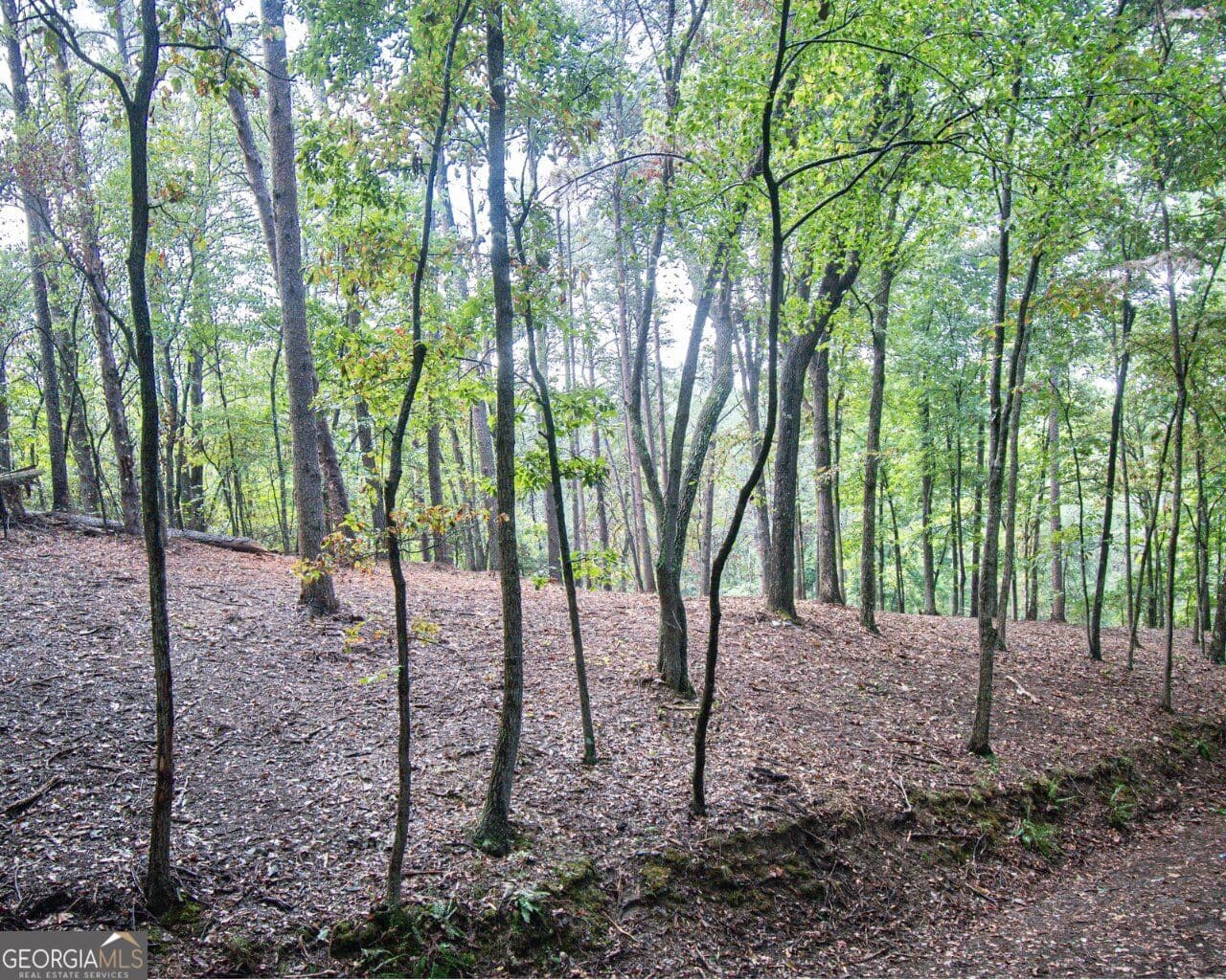 residential lot for sale at 480 Pin Hook Road, Ranger, GA 30734 — photo 5