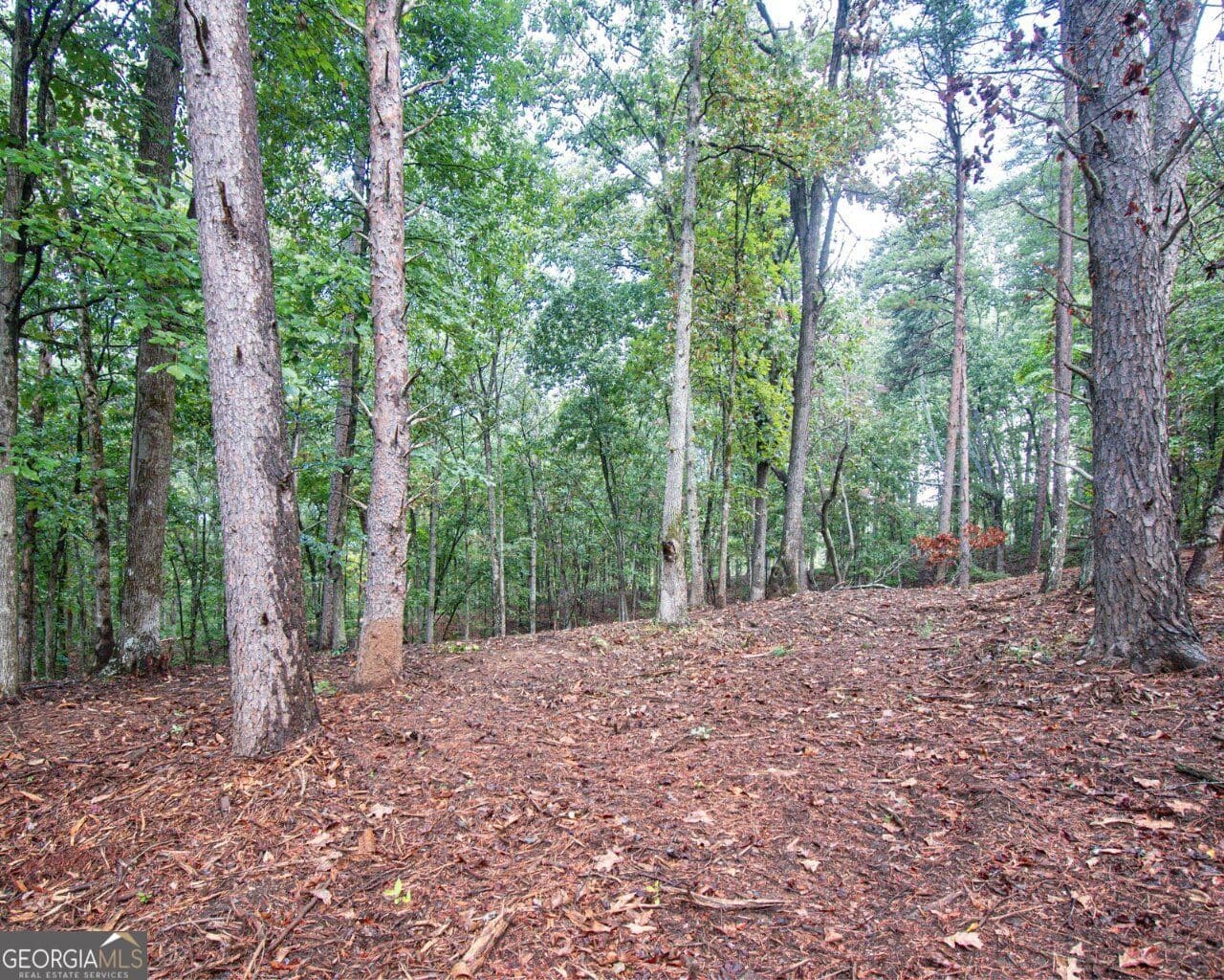 residential lot for sale at 480 Pin Hook Road, Ranger, GA 30734 — photo 4