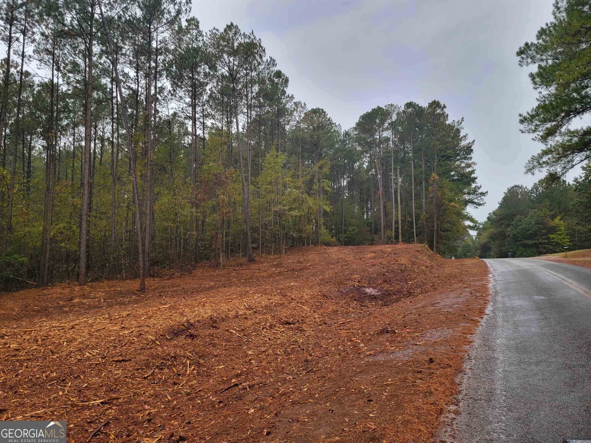 agriculture sold at 14 ACRES Lamars Mill Road, Flovilla, GA 30216