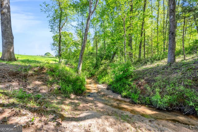 agriculture for sale at 961 Gooseneck Road LOT 3, Eastanollee, GA 30538 — photo 6