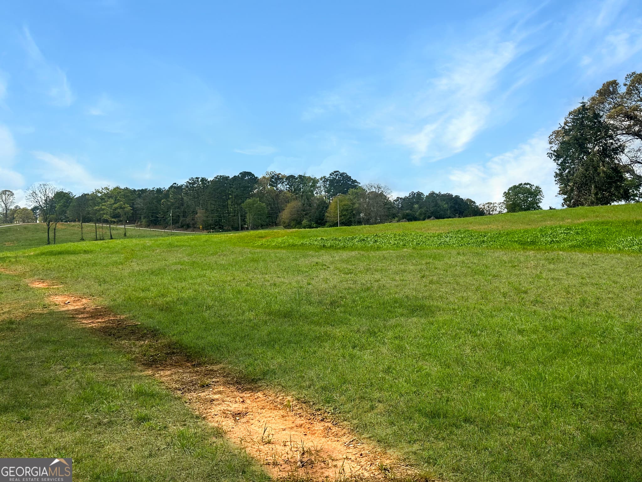 agriculture for sale at 961 Gooseneck Road LOT 3, Eastanollee, GA 30538 — photo 3
