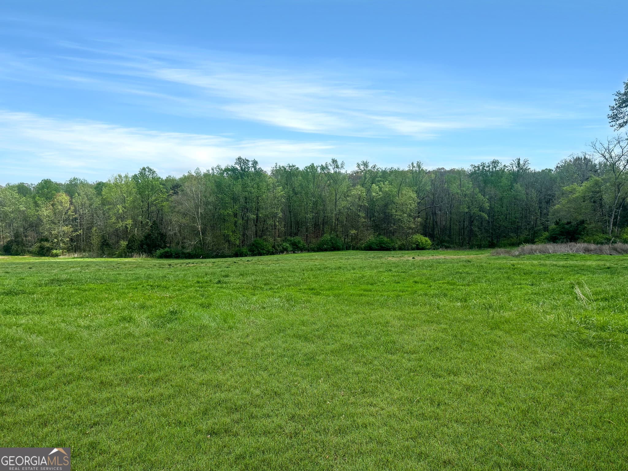 agriculture for sale at 961 Gooseneck Road LOT 3, Eastanollee, GA 30538 — photo 4
