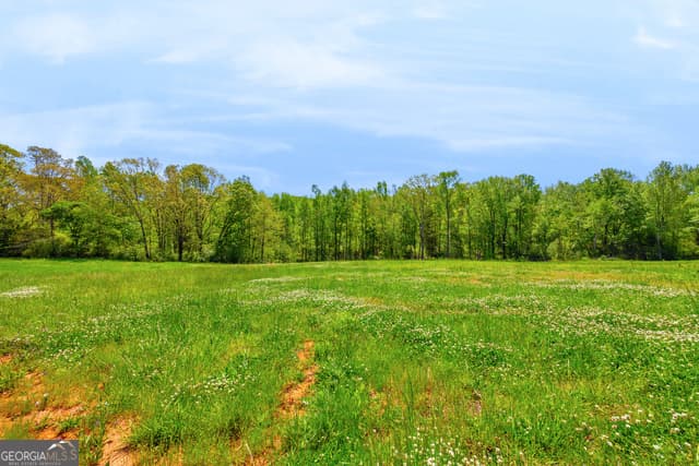 agriculture for sale at 961 Gooseneck Road LOT 3, Eastanollee, GA 30538 — photo 8