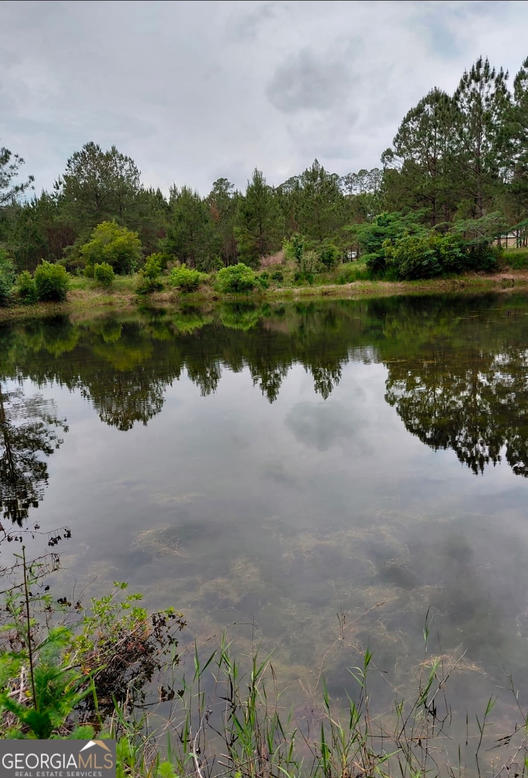 estate lot for sale at 436 Russell Boulevard ACRES 21.45, St. George, GA 31562 — photo 2