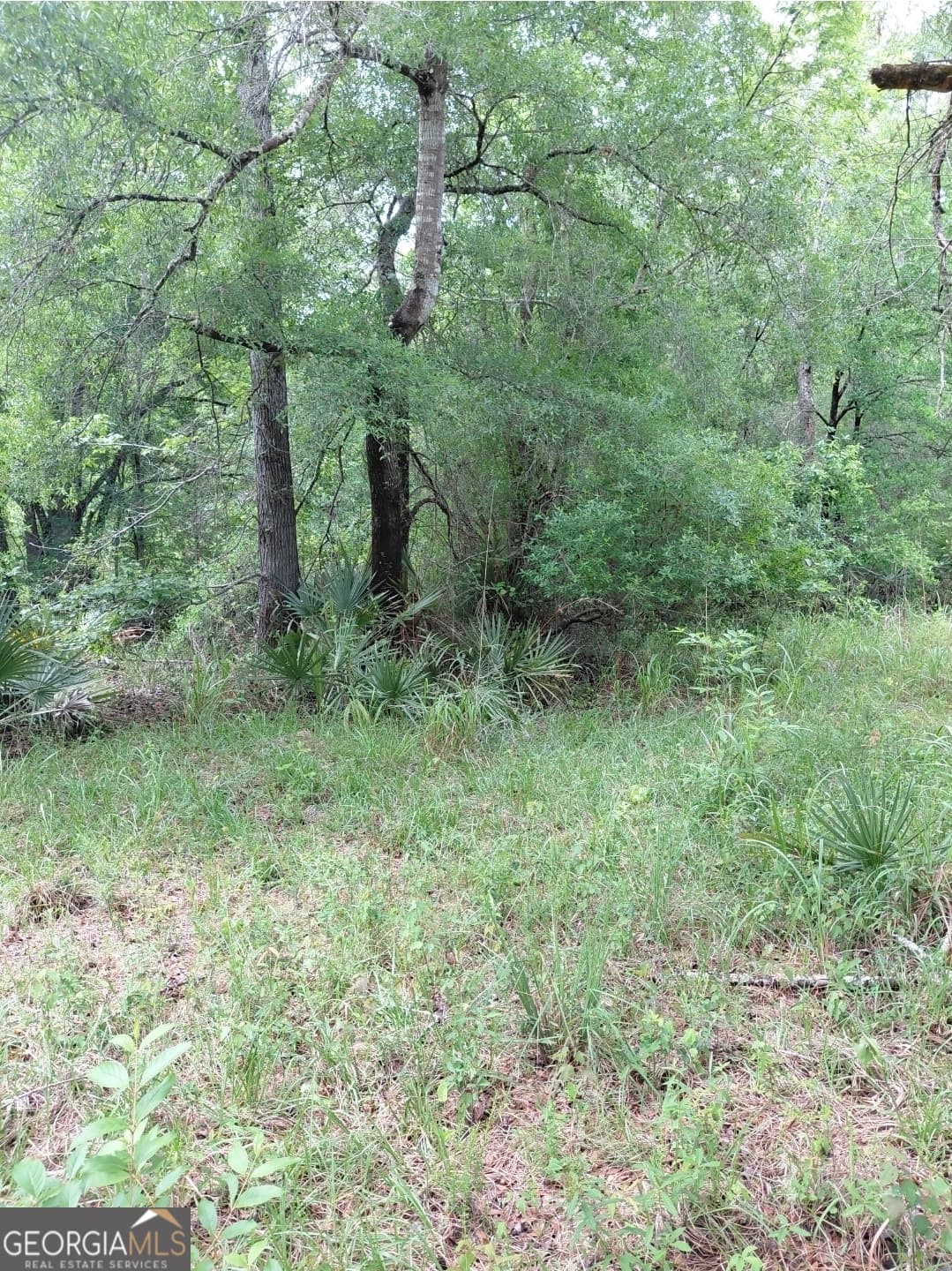 estate lot for sale at 436 Russell Boulevard ACRES 21.45, St. George, GA 31562 — photo 6