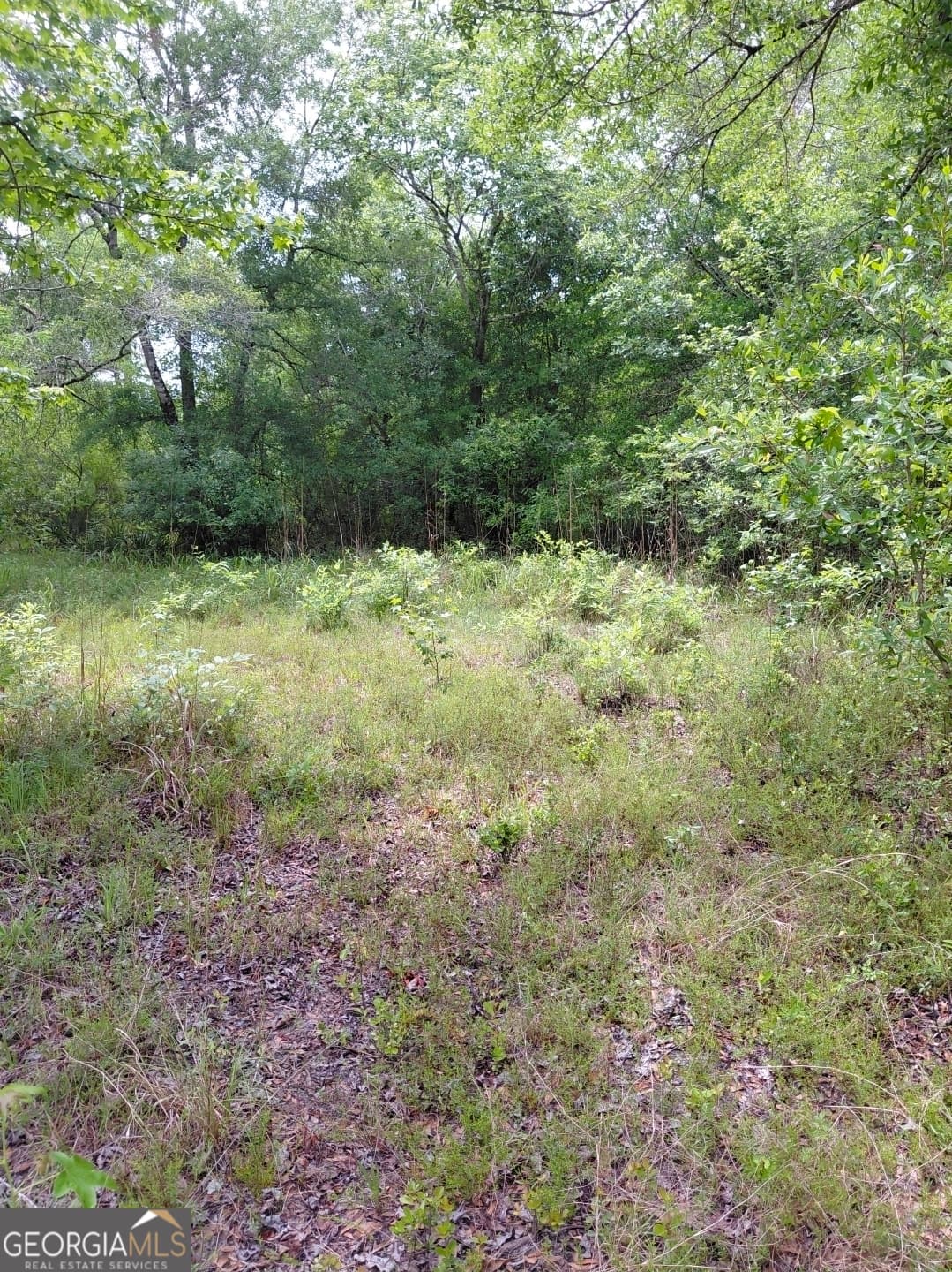 estate lot for sale at 436 Russell Boulevard ACRES 21.45, St. George, GA 31562 — photo 7
