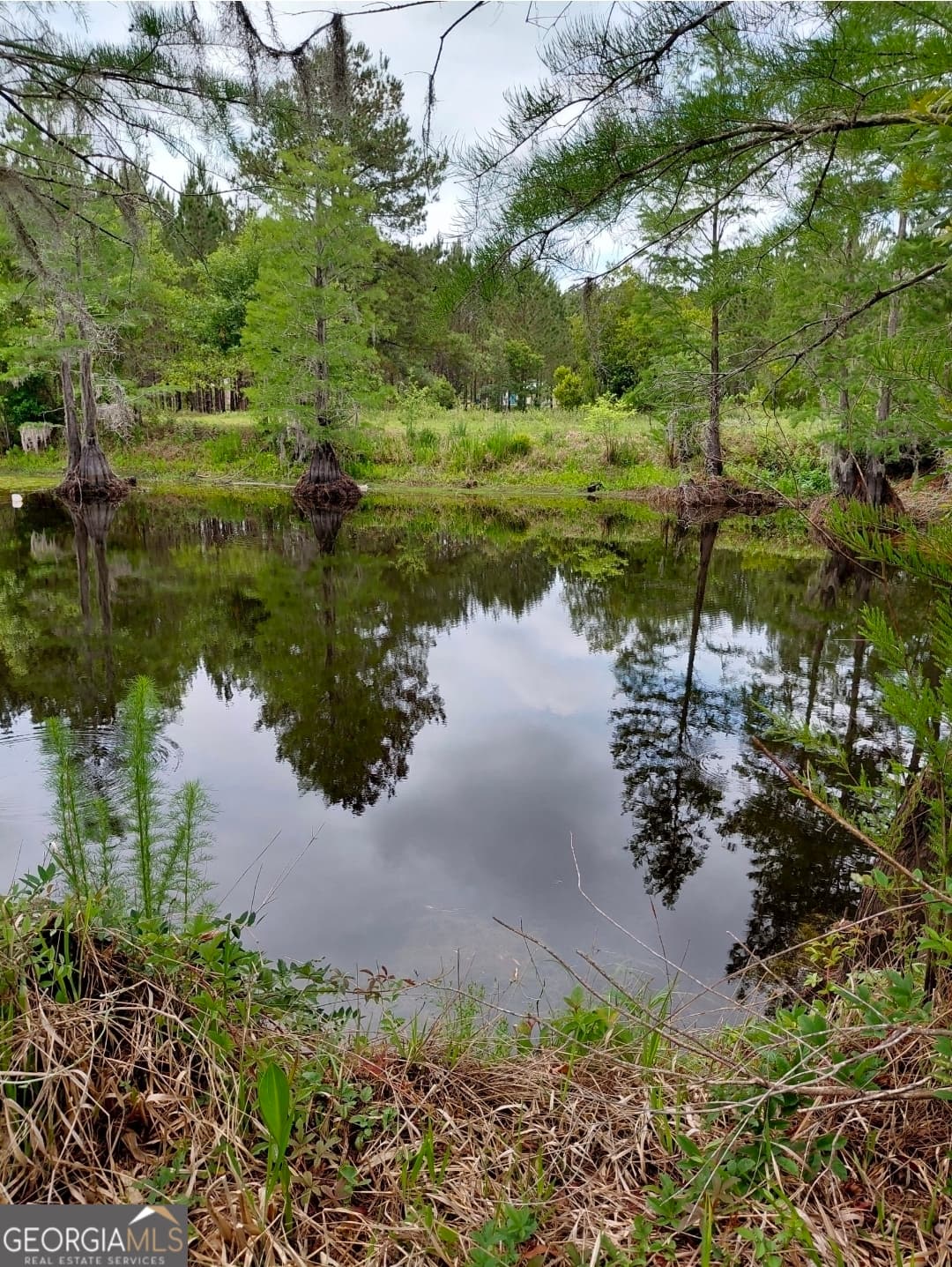 estate lot for sale at 436 Russell Boulevard ACRES 21.45, St. George, GA 31562 — photo 3