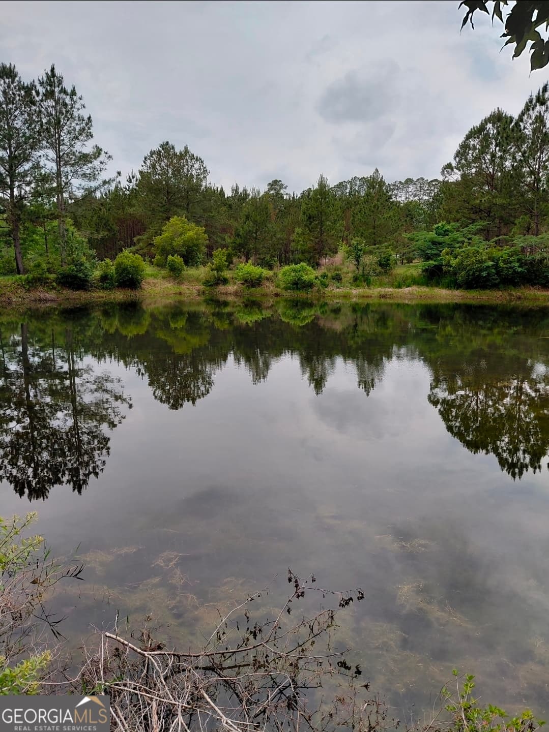 estate lot for sale at 436 Russell Boulevard ACRES 21.45, St. George, GA 31562 — photo 1 of 25