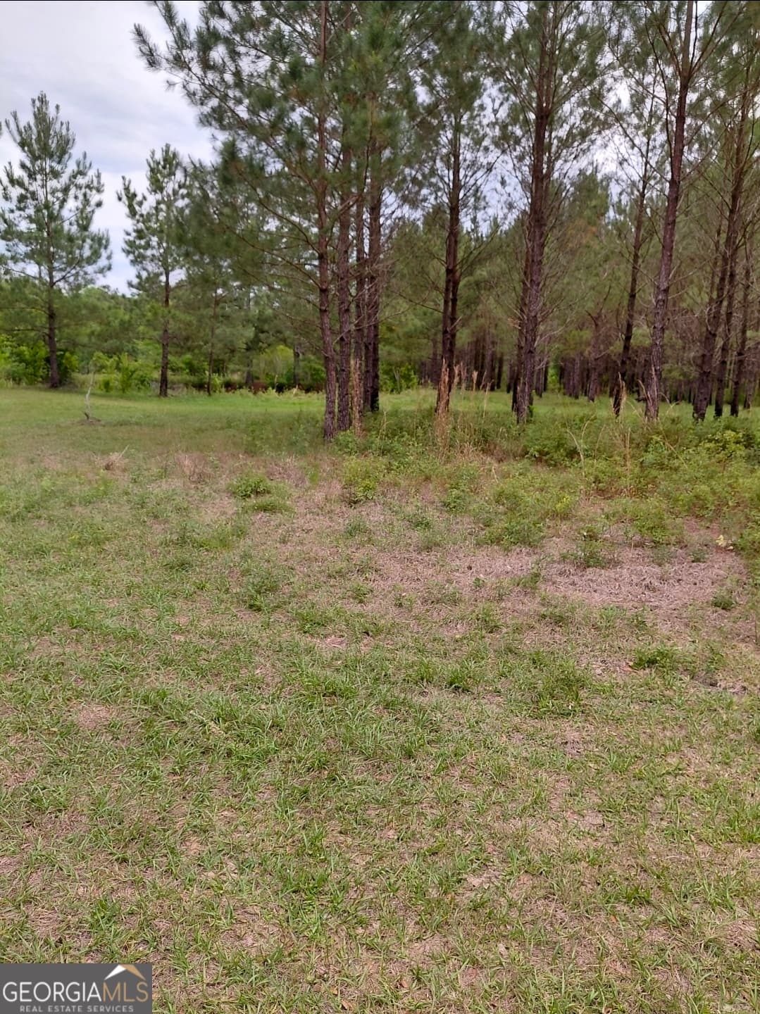 estate lot for sale at 436 Russell Boulevard ACRES 21.45, St. George, GA 31562 — photo 5
