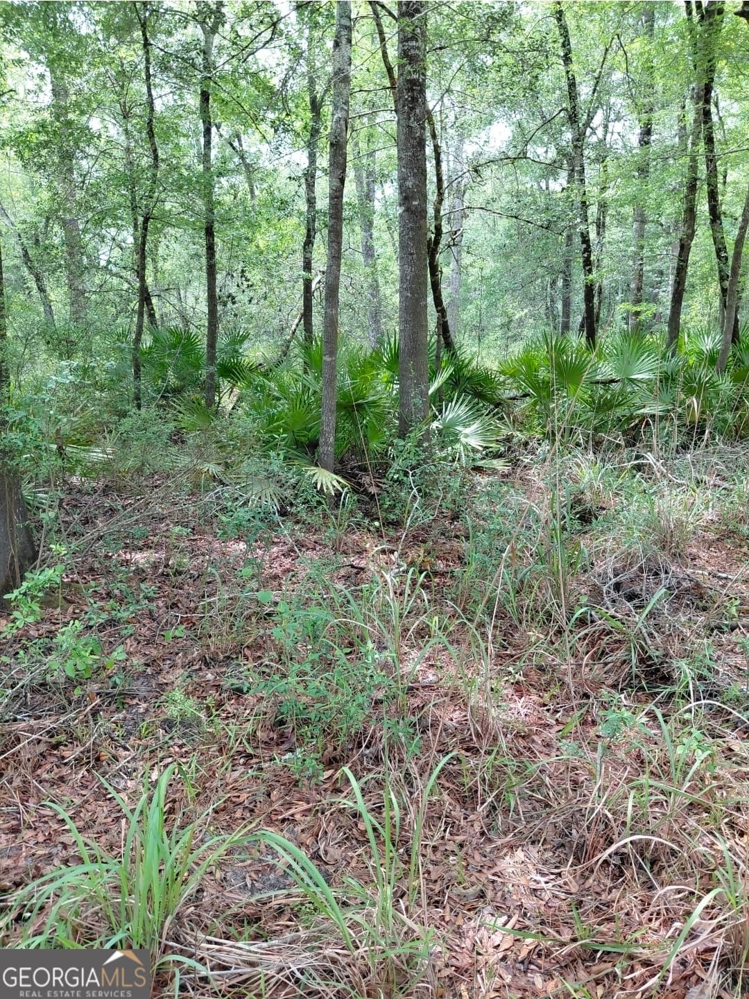 estate lot for sale at 436 Russell Boulevard ACRES 21.45, St. George, GA 31562 — photo 9