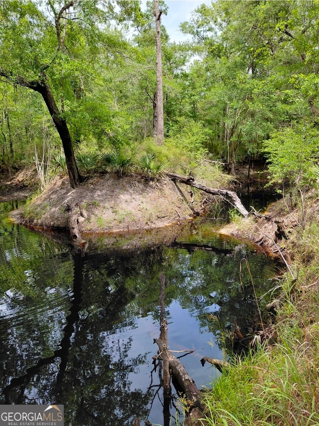 estate lot for sale at 436 Russell Boulevard ACRES 21.45, St. George, GA 31562 — photo 10