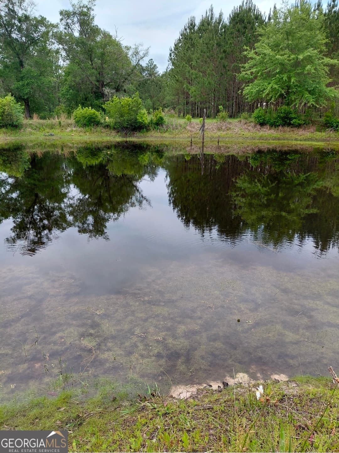 estate lot for sale at 436 Russell Boulevard ACRES 21.45, St. George, GA 31562 — photo 4
