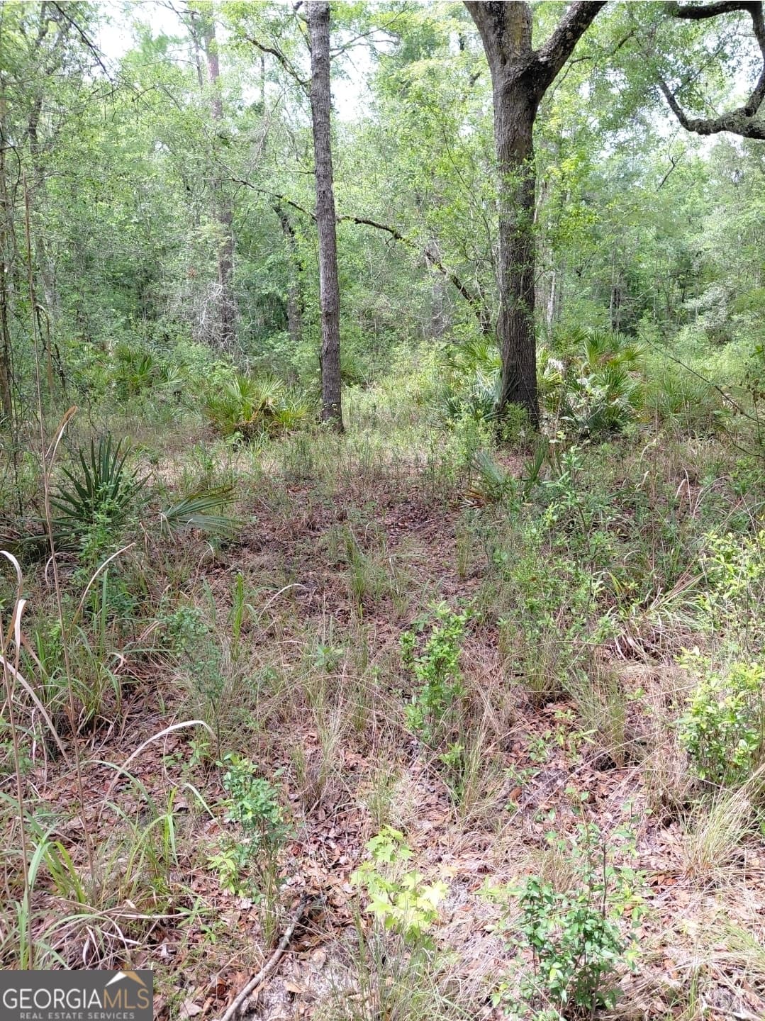 estate lot for sale at 436 Russell Boulevard ACRES 21.45, St. George, GA 31562 — photo 8