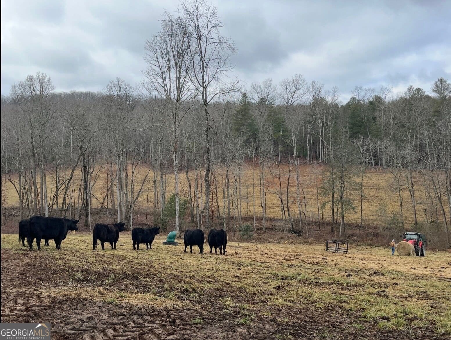 3 bedroom, 3 bathroom, 2,952 sq ft farm for sale at 192 Flowers Drive, Blairsville, GA 30512 — photo 7