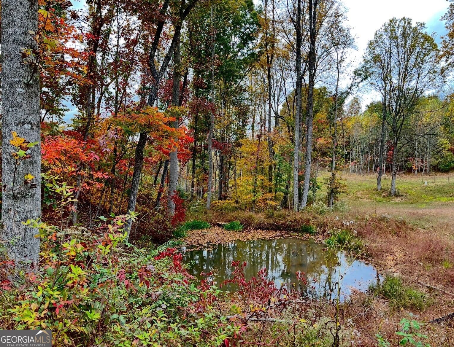 3 bedroom, 3 bathroom, 2,952 sq ft farm for sale at 192 Flowers Drive, Blairsville, GA 30512 — photo 3