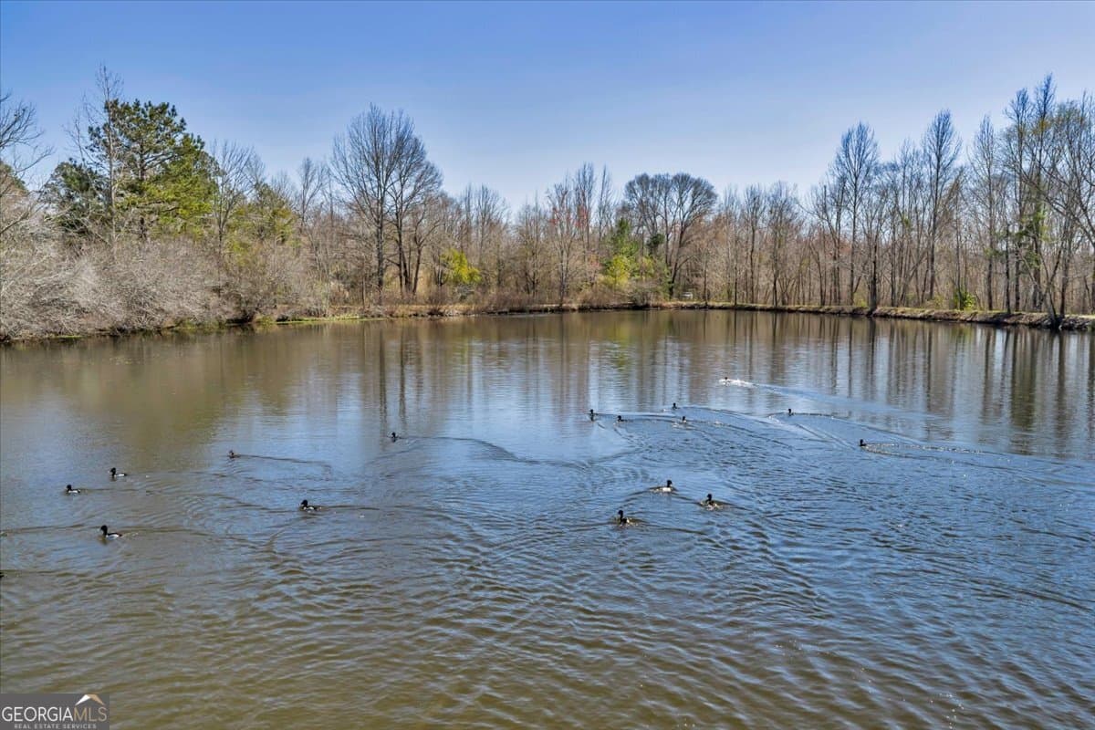 unimproved land for sale at 7329 Houston Road, Macon, GA 31216 — photo 6