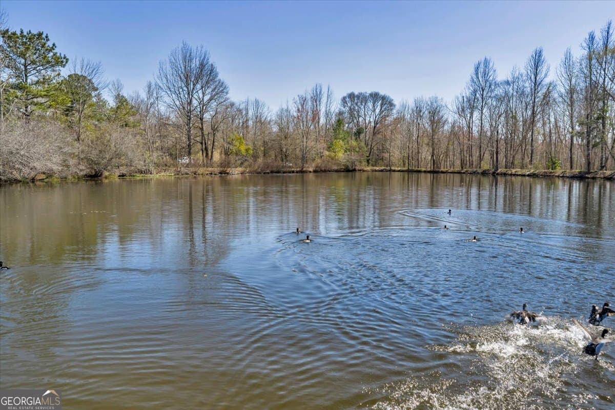 unimproved land for sale at 7329 Houston Road, Macon, GA 31216 — photo 7