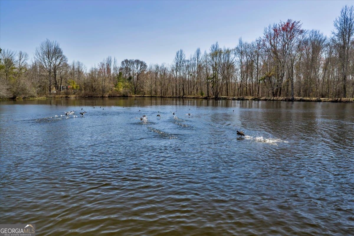 unimproved land for sale at 7329 Houston Road, Macon, GA 31216 — photo 9
