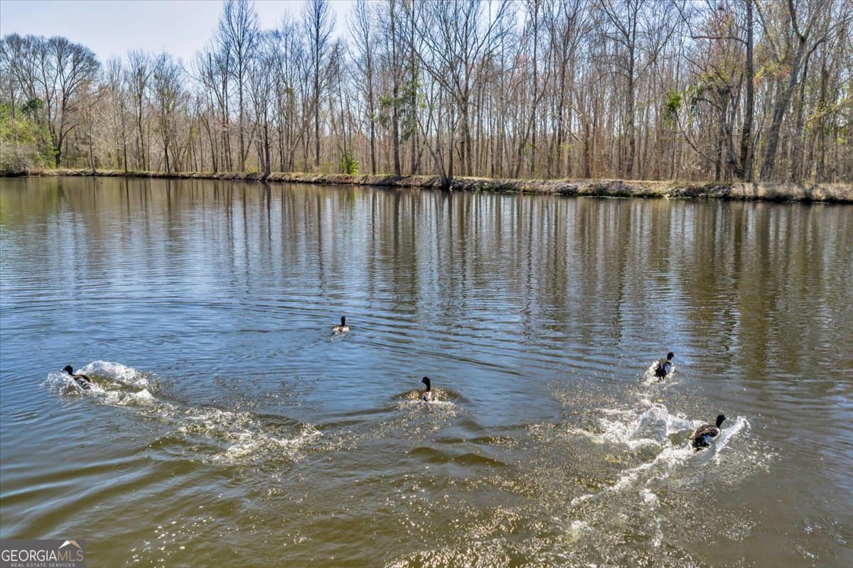 unimproved land for sale at 7329 Houston Road, Macon, GA 31216 — photo 8