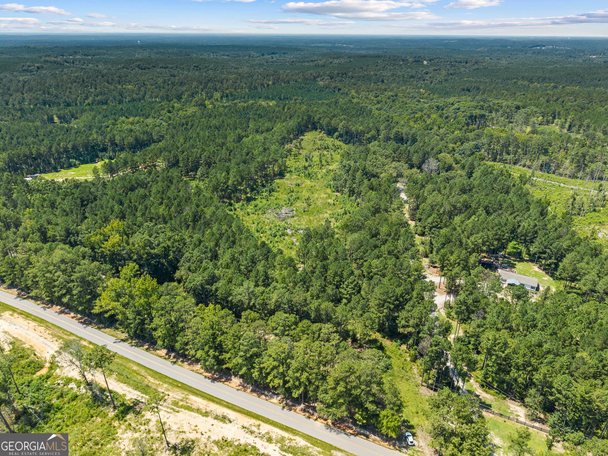 agriculture for sale at 3191 Syrup Mill Crossing, Greensboro, GA 30642 — photo 2