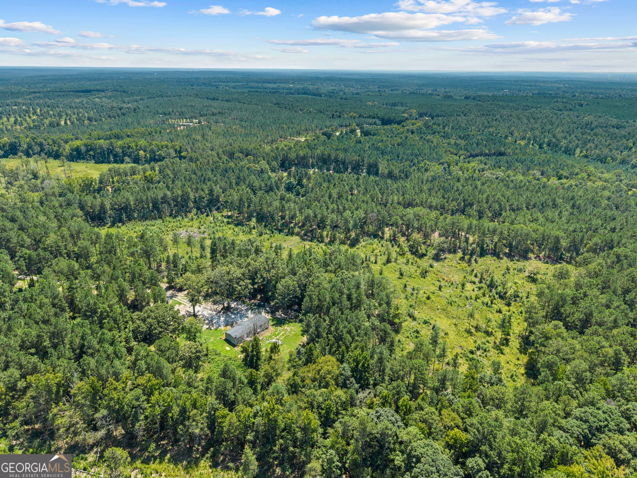 agriculture for sale at 3191 Syrup Mill Crossing, Greensboro, GA 30642 — photo 6