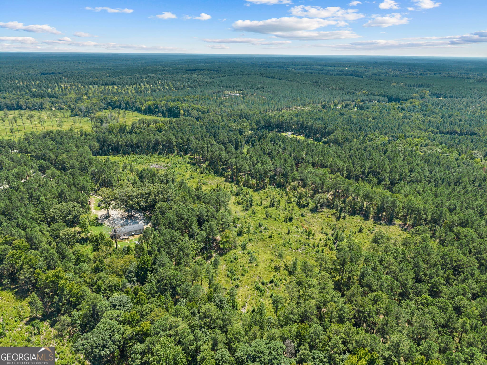 agriculture for sale at 3191 Syrup Mill Crossing, Greensboro, GA 30642 — photo 7