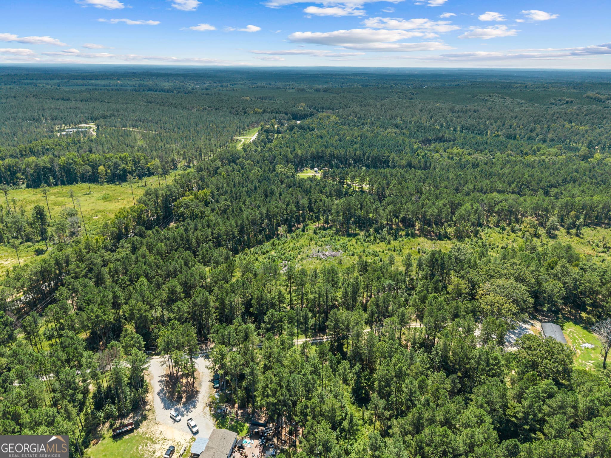 agriculture for sale at 3191 Syrup Mill Crossing, Greensboro, GA 30642 — photo 5