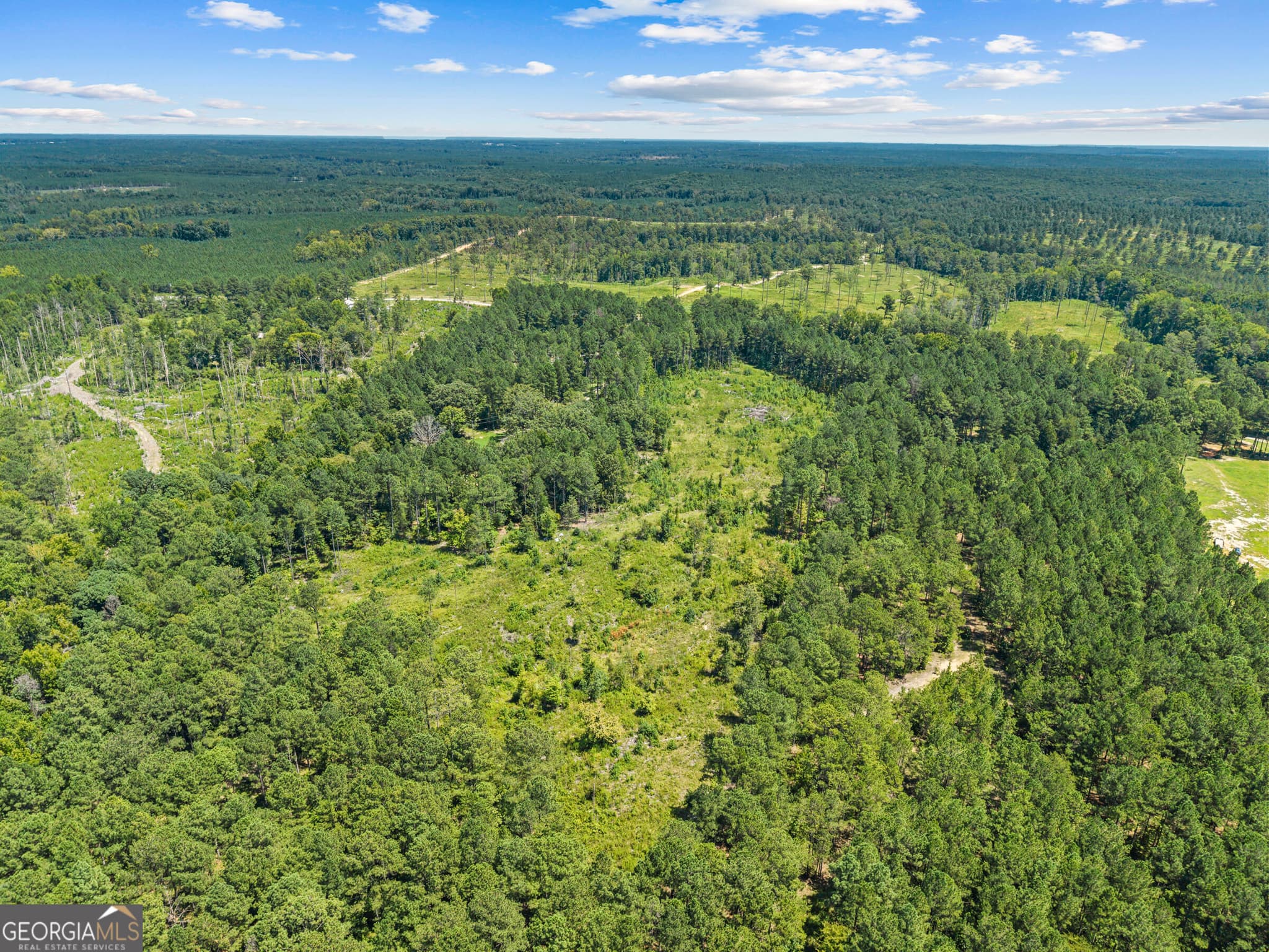 agriculture for sale at 3191 Syrup Mill Crossing, Greensboro, GA 30642 — photo 9