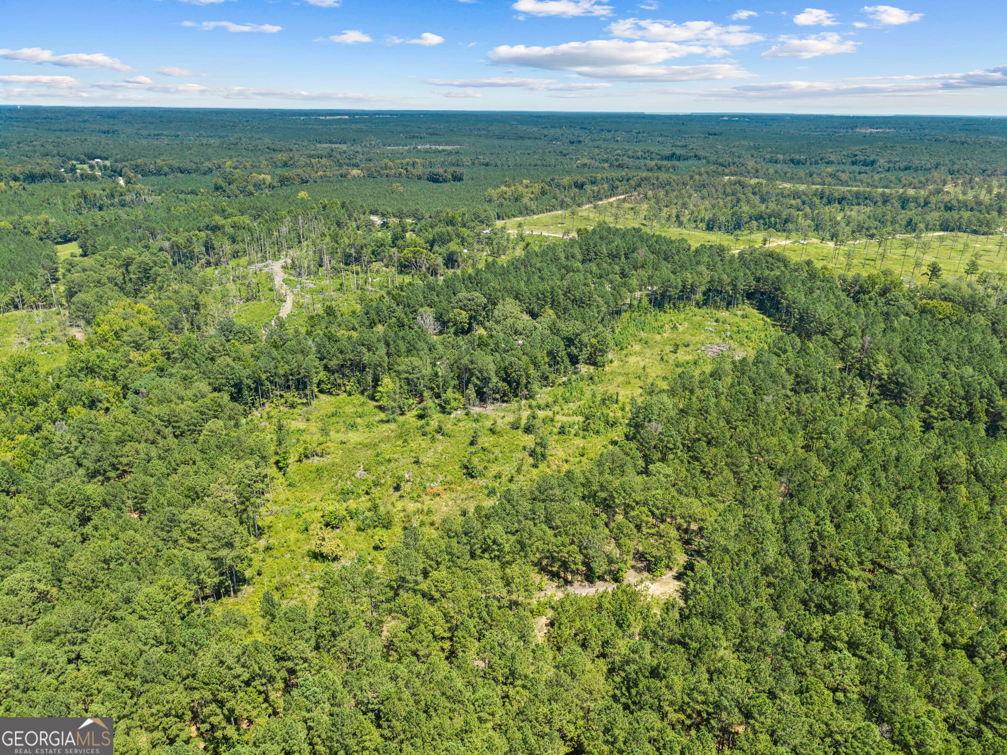 agriculture for sale at 3191 Syrup Mill Crossing, Greensboro, GA 30642 — photo 10