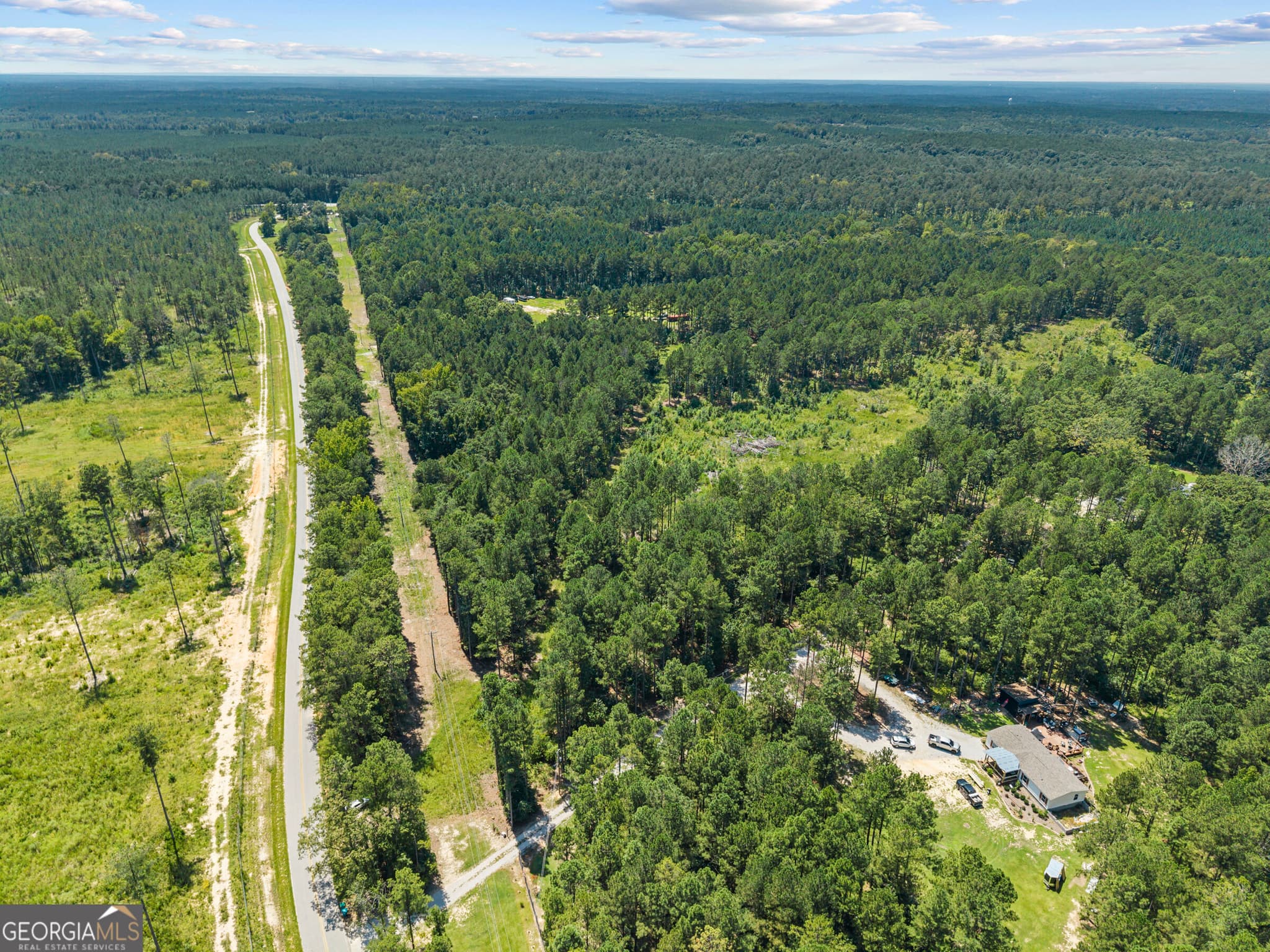 agriculture for sale at 3191 Syrup Mill Crossing, Greensboro, GA 30642 — photo 4