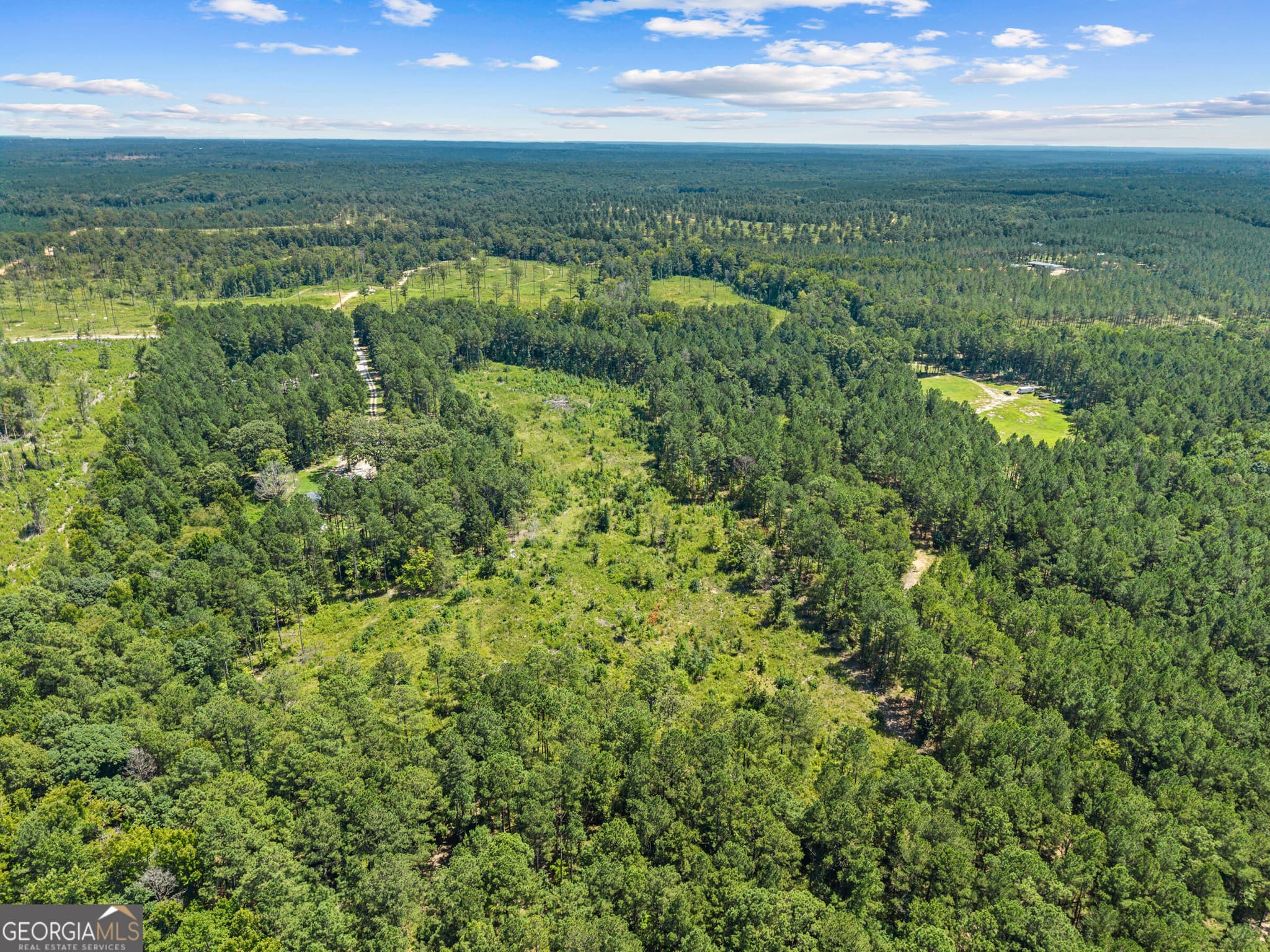 agriculture for sale at 3191 Syrup Mill Crossing, Greensboro, GA 30642 — photo 8