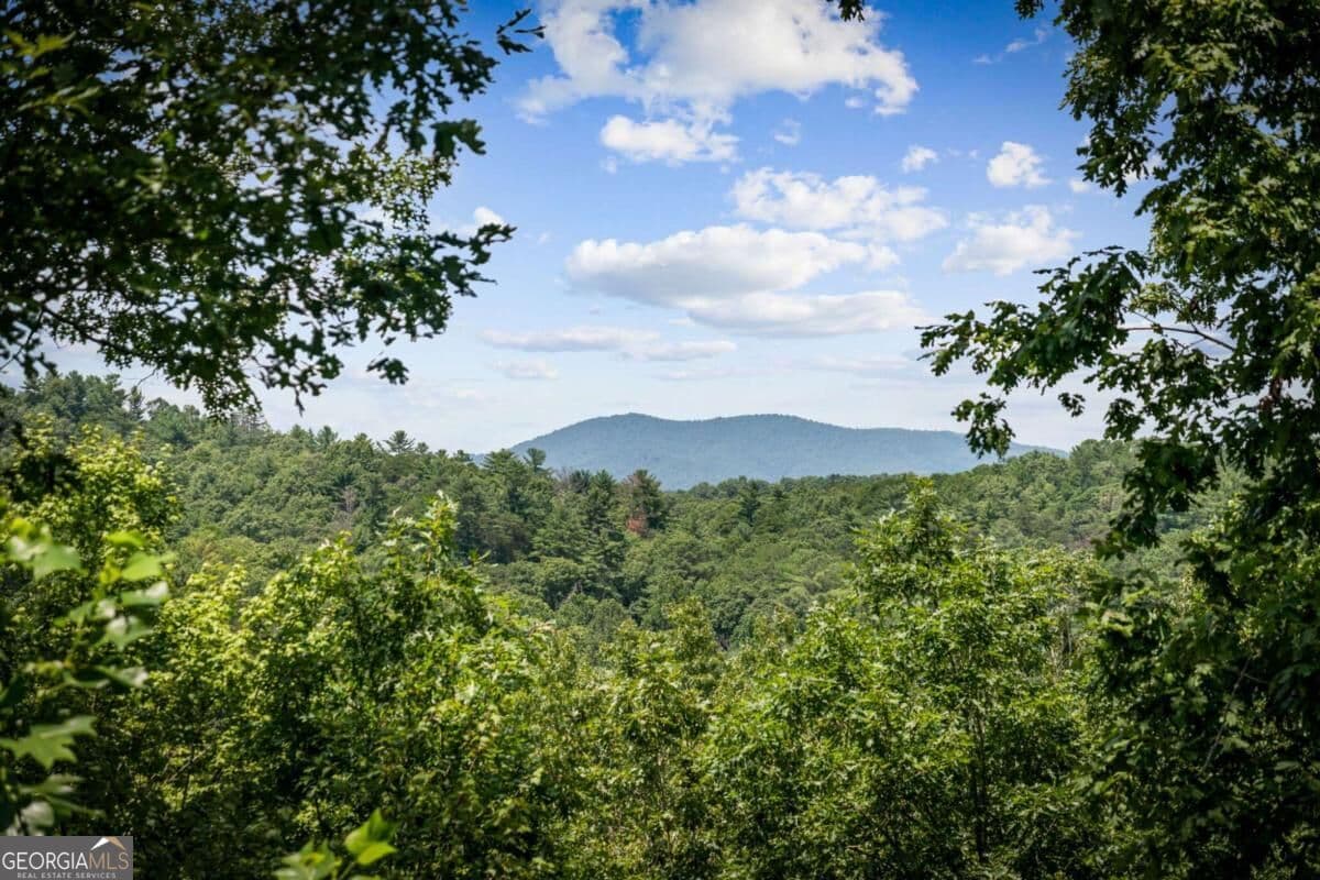 3 bedroom, 3.5 bathroom, 2,910 sq ft cabin,single family residence for sale at 383 River Escape Drive, Ellijay, GA 30540 — photo 4