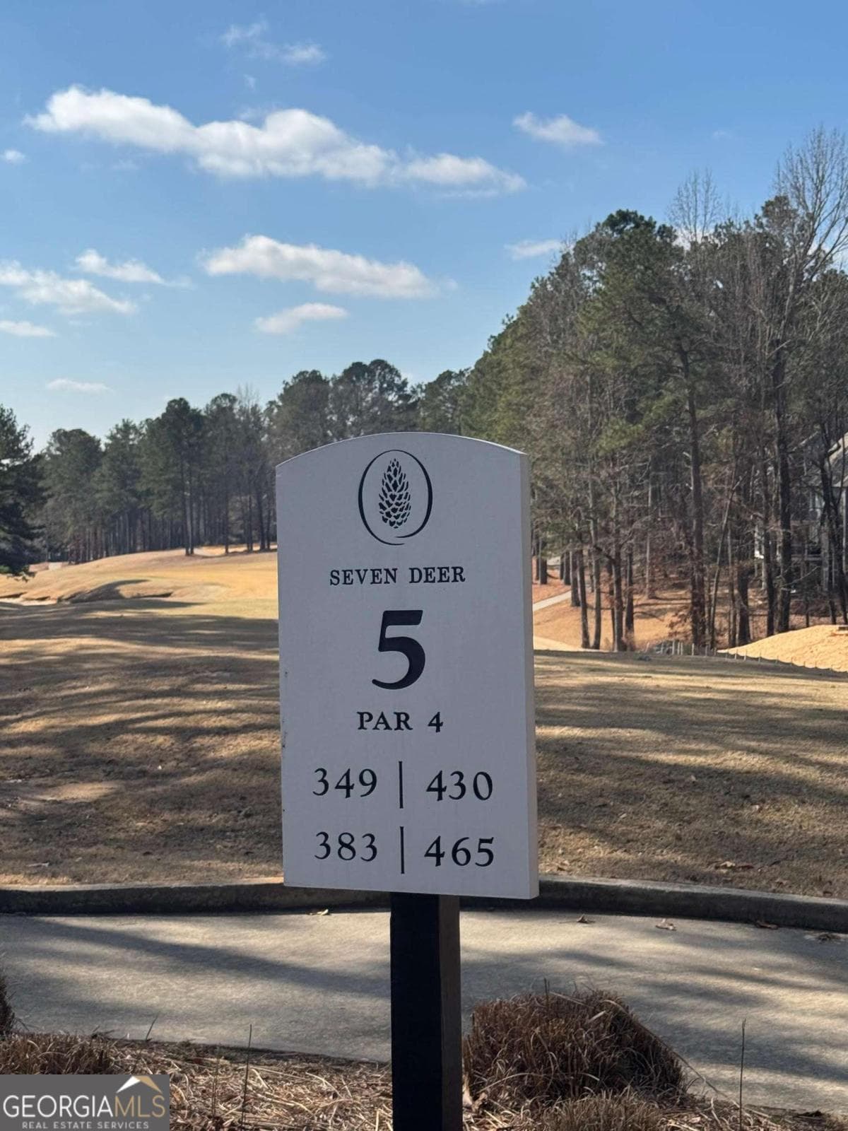 residential lot for sale at 1041 Shadow Creek Way, Greensboro, GA 30642 — photo 2