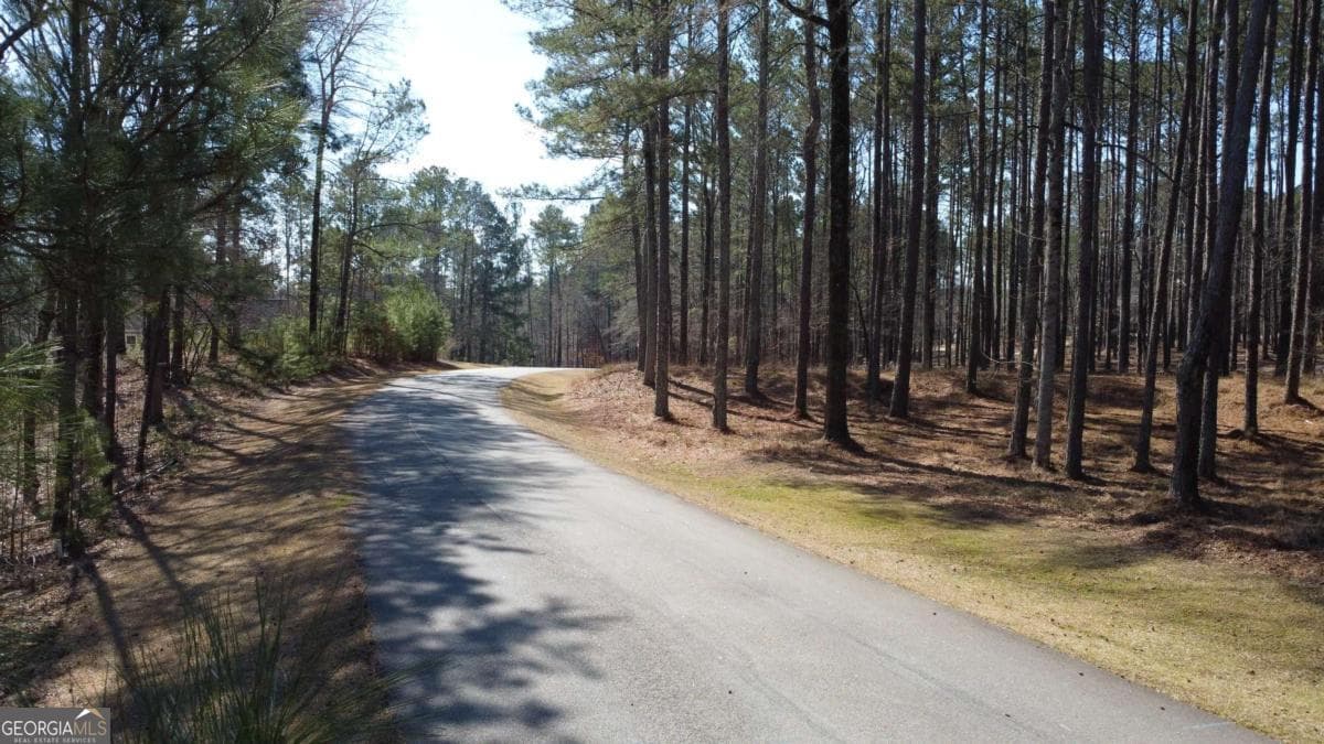 residential lot for sale at 1041 Shadow Creek Way, Greensboro, GA 30642 — photo 1 of 5