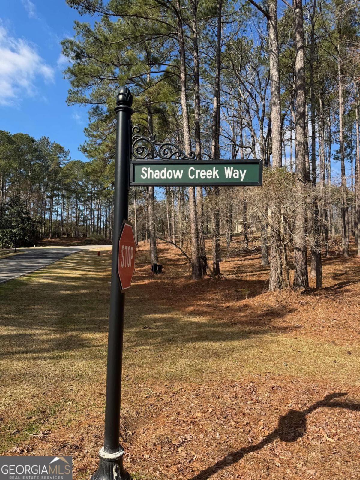residential lot for sale at 1041 Shadow Creek Way, Greensboro, GA 30642 — photo 4
