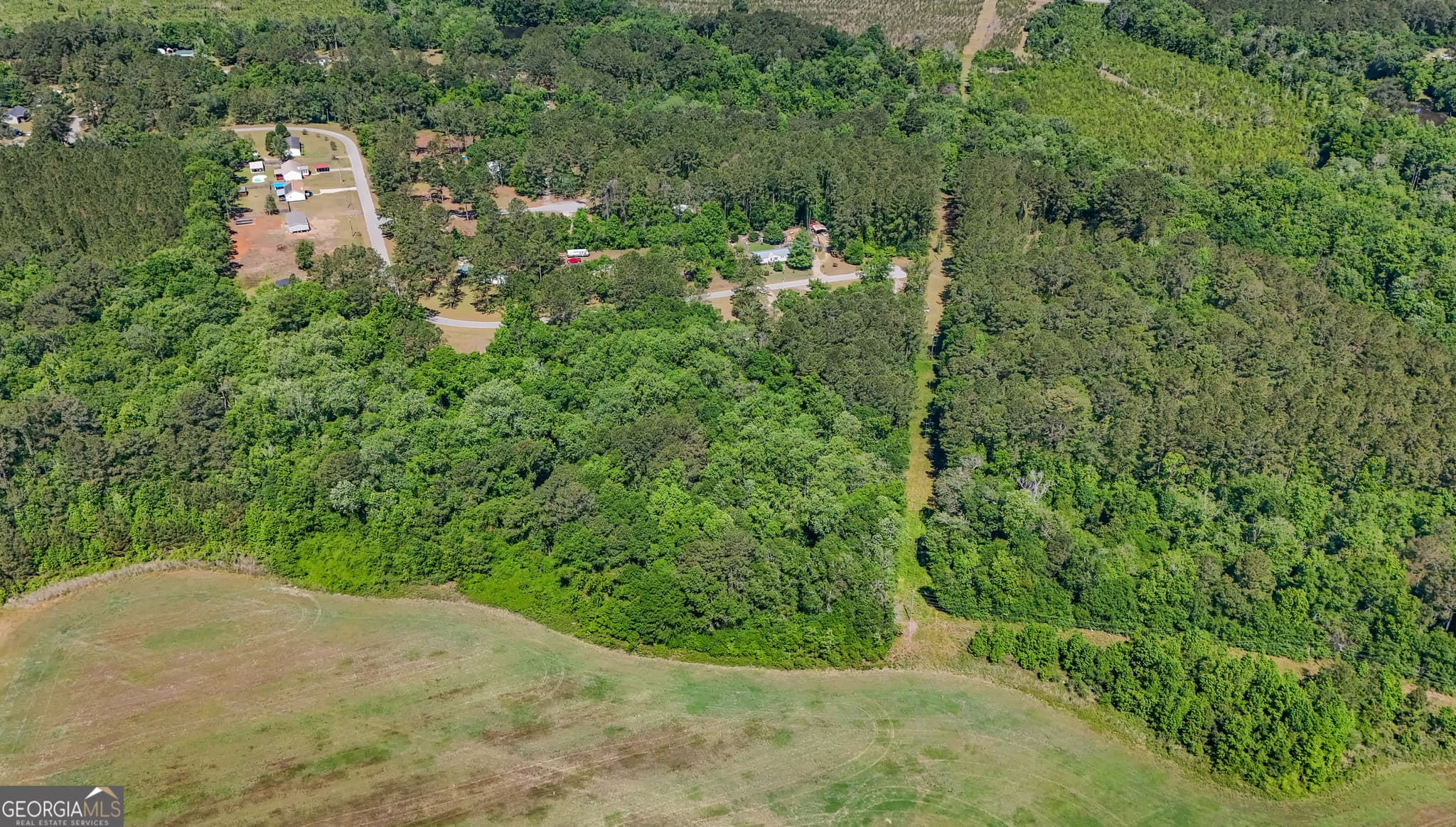 agriculture for sale at 0 Darsey, Cairo, GA 39828 — photo 6