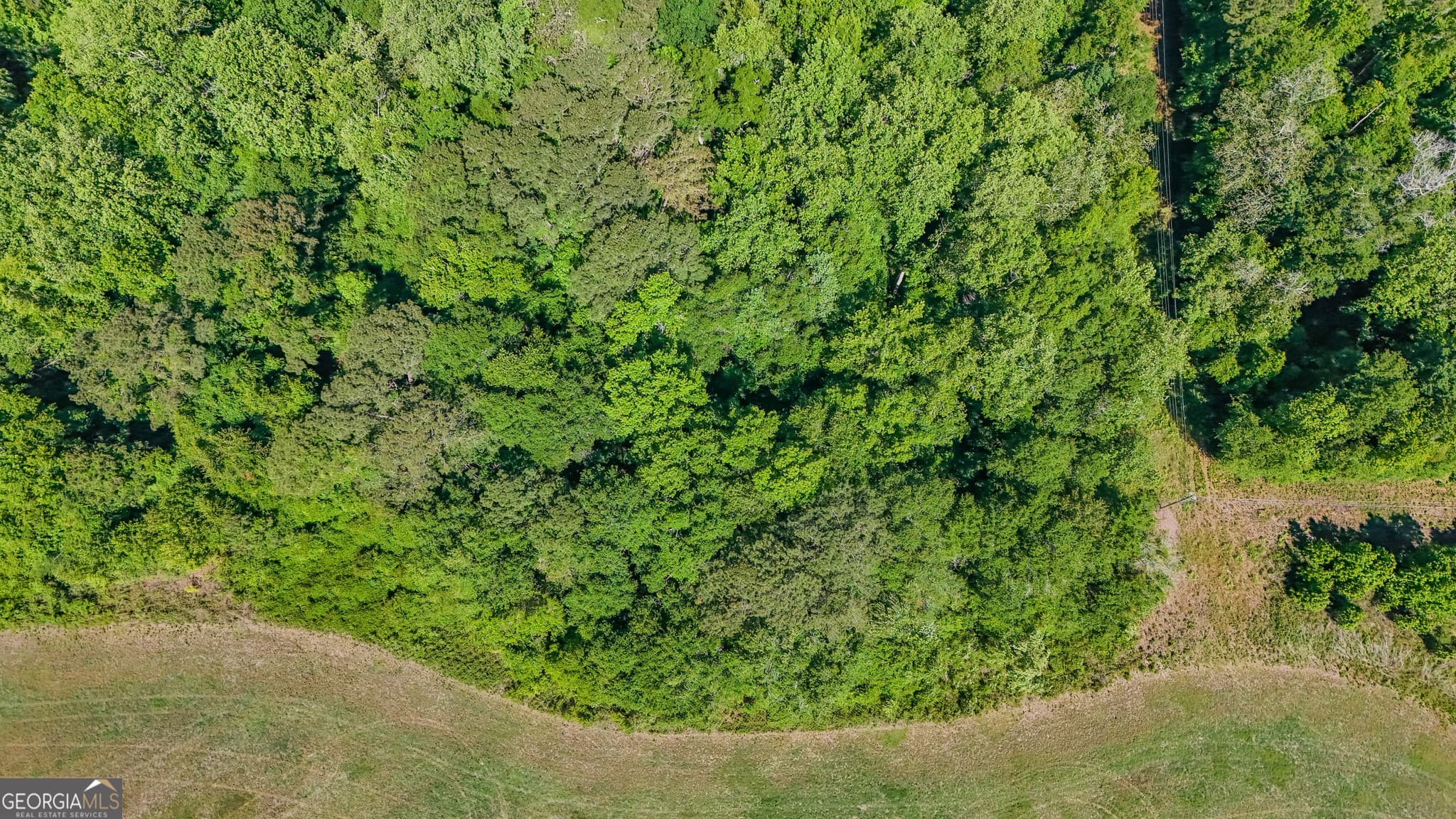 agriculture for sale at 0 Darsey, Cairo, GA 39828 — photo 7
