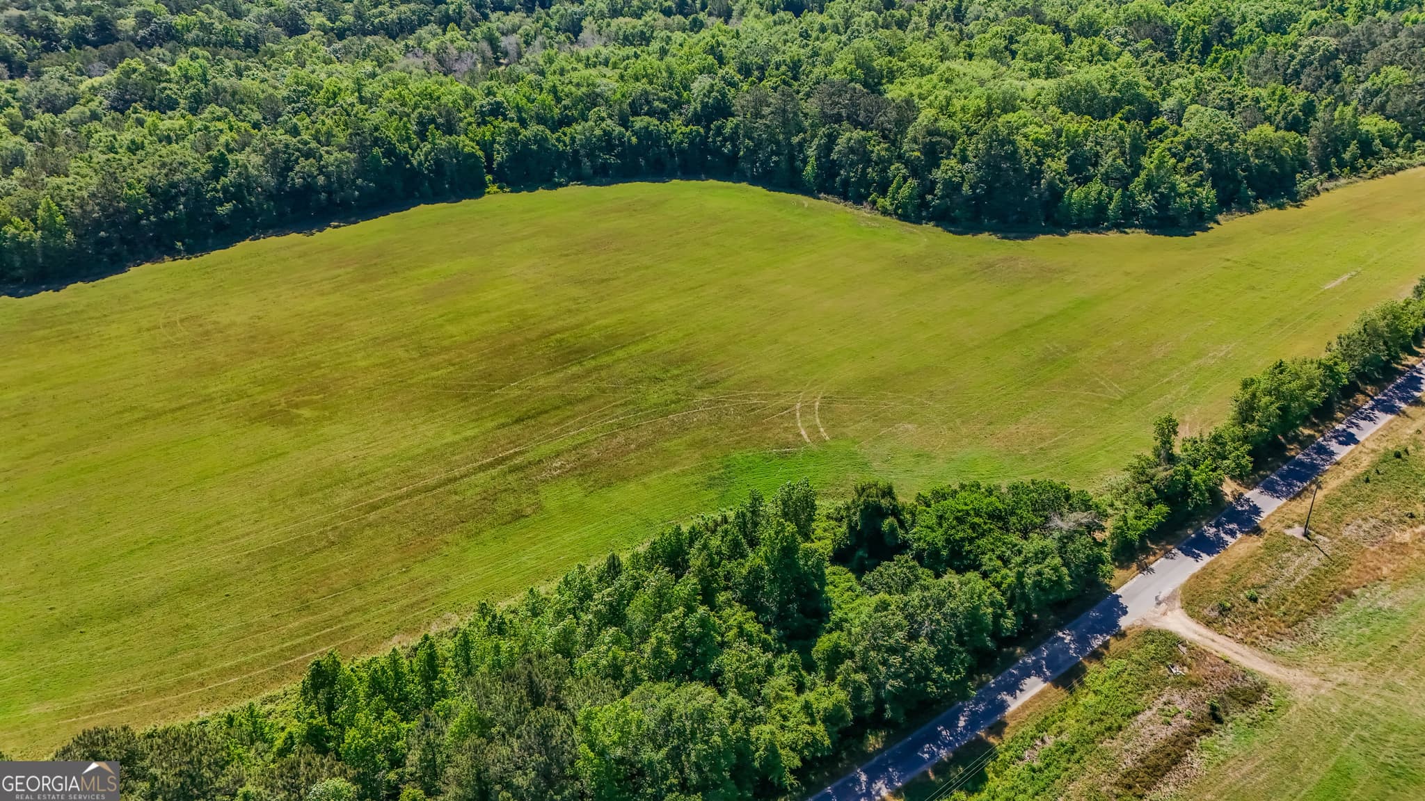 agriculture for sale at 0 Darsey, Cairo, GA 39828 — photo 3