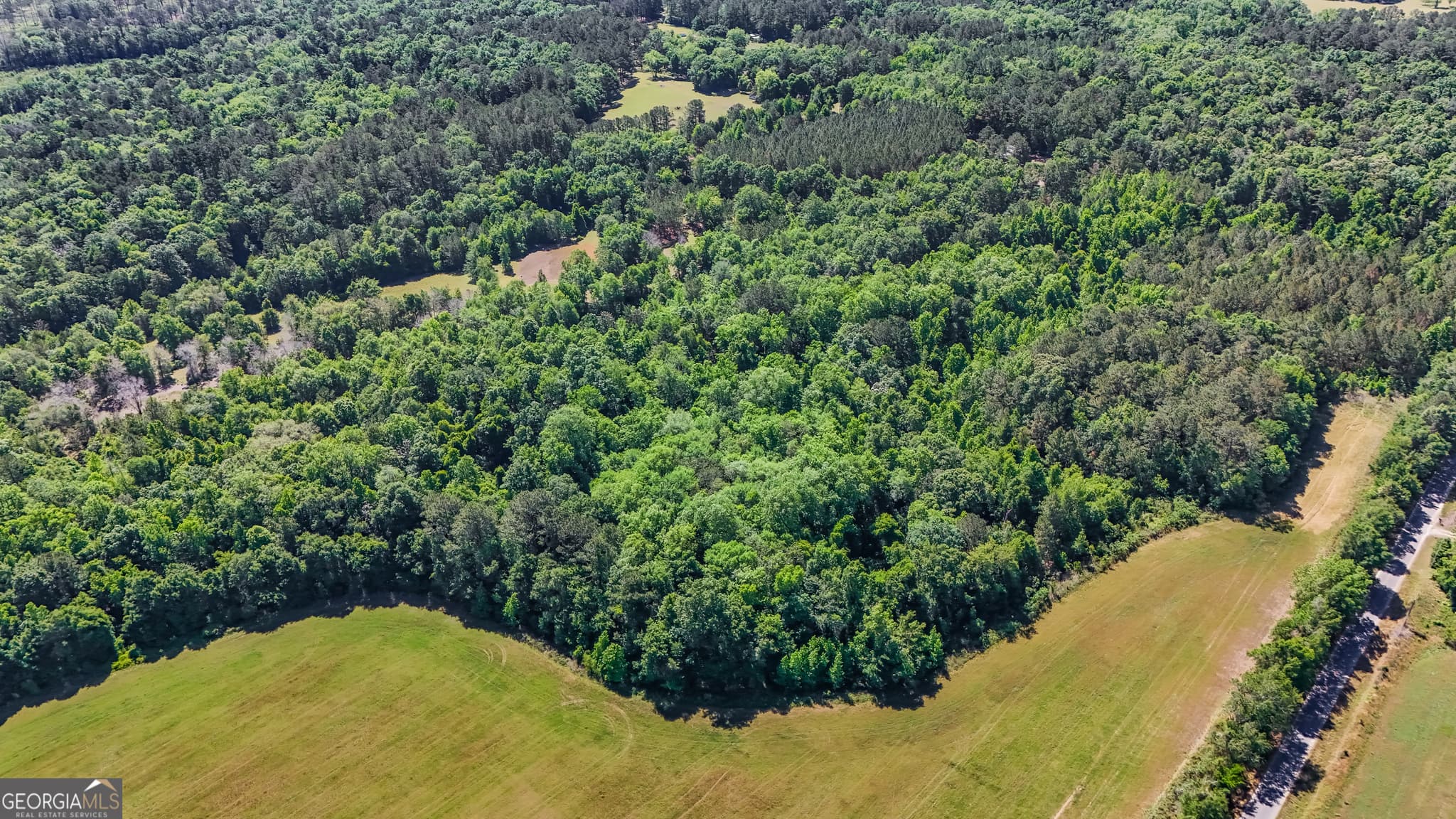 agriculture for sale at 0 Darsey, Cairo, GA 39828 — photo 5