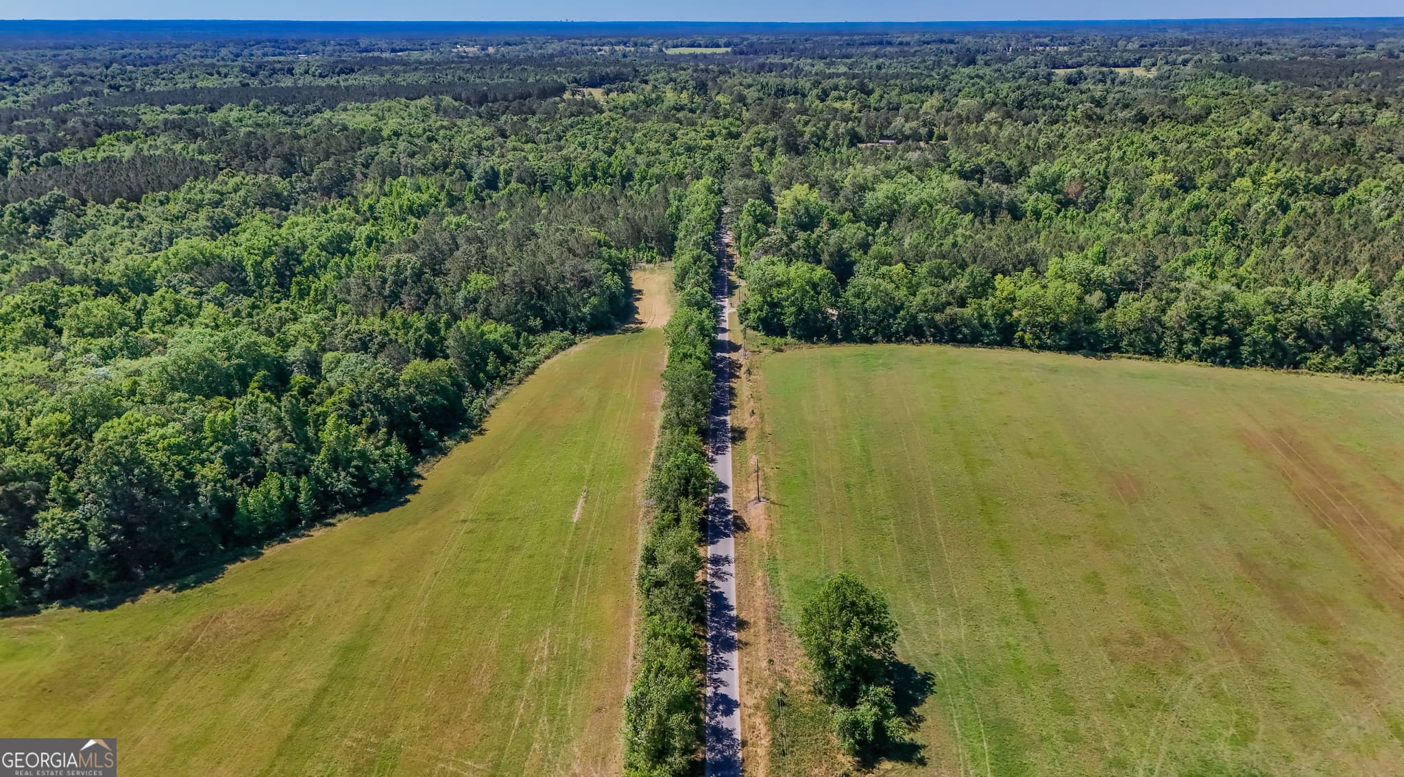 agriculture for sale at 0 Darsey, Cairo, GA 39828 — photo 4