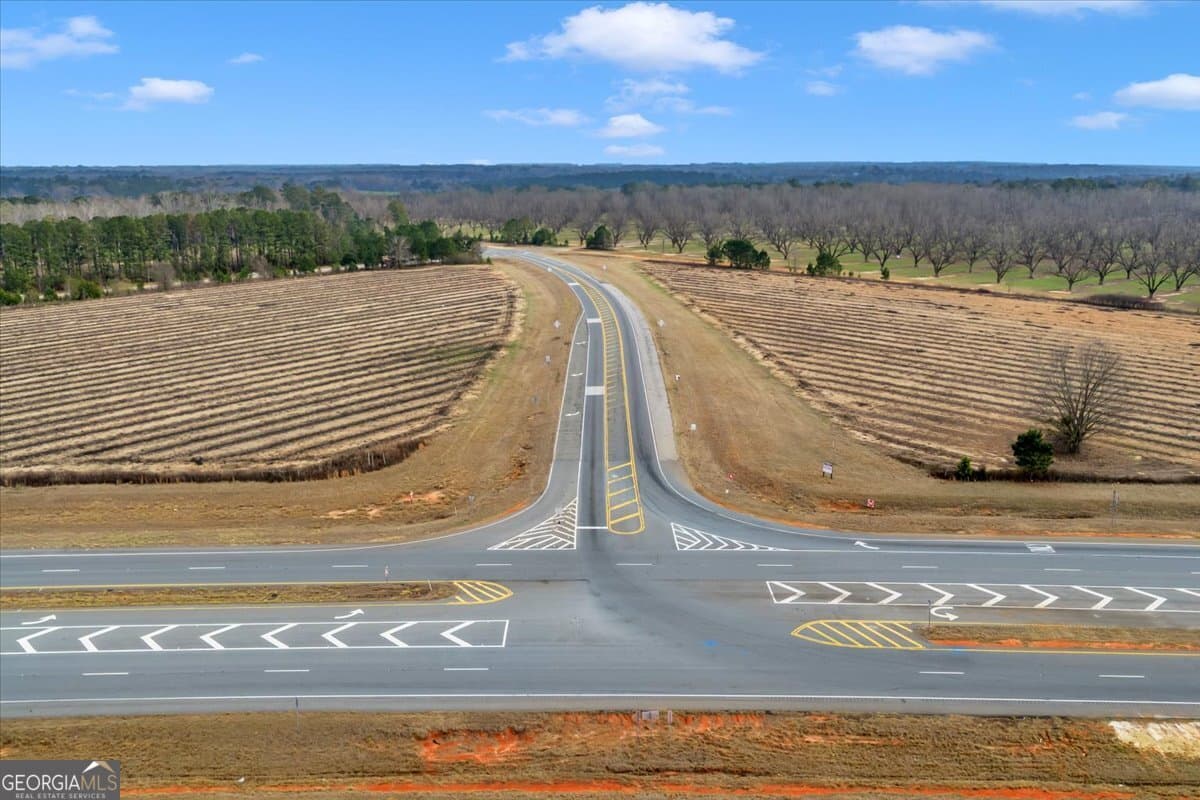 agriculture for sale at 0 NW HWY 96, Fort Valley, GA 31030 — photo 4