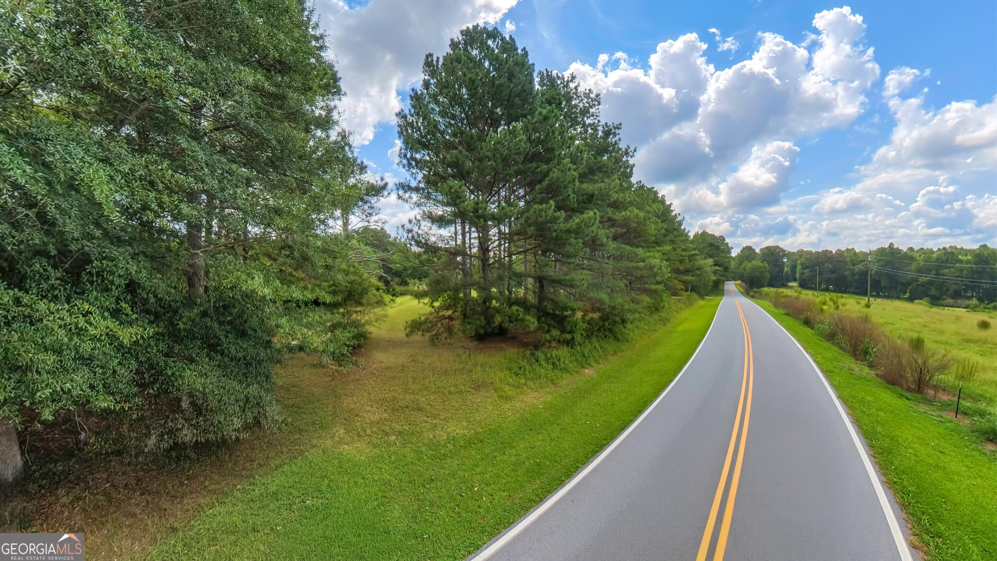 agriculture for sale at 2448 Steadman Road, Tallapoosa, GA 30176 — photo 3