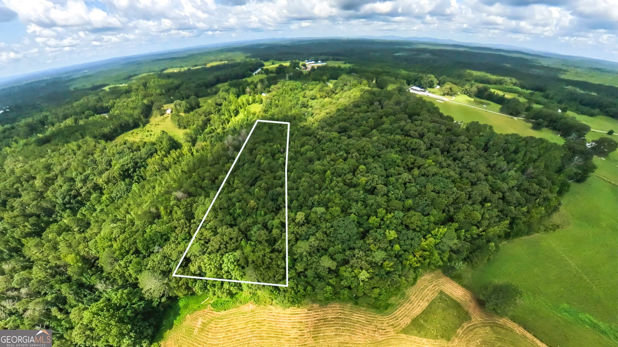 agriculture for sale at 2448 Steadman Road, Tallapoosa, GA 30176 — photo 9