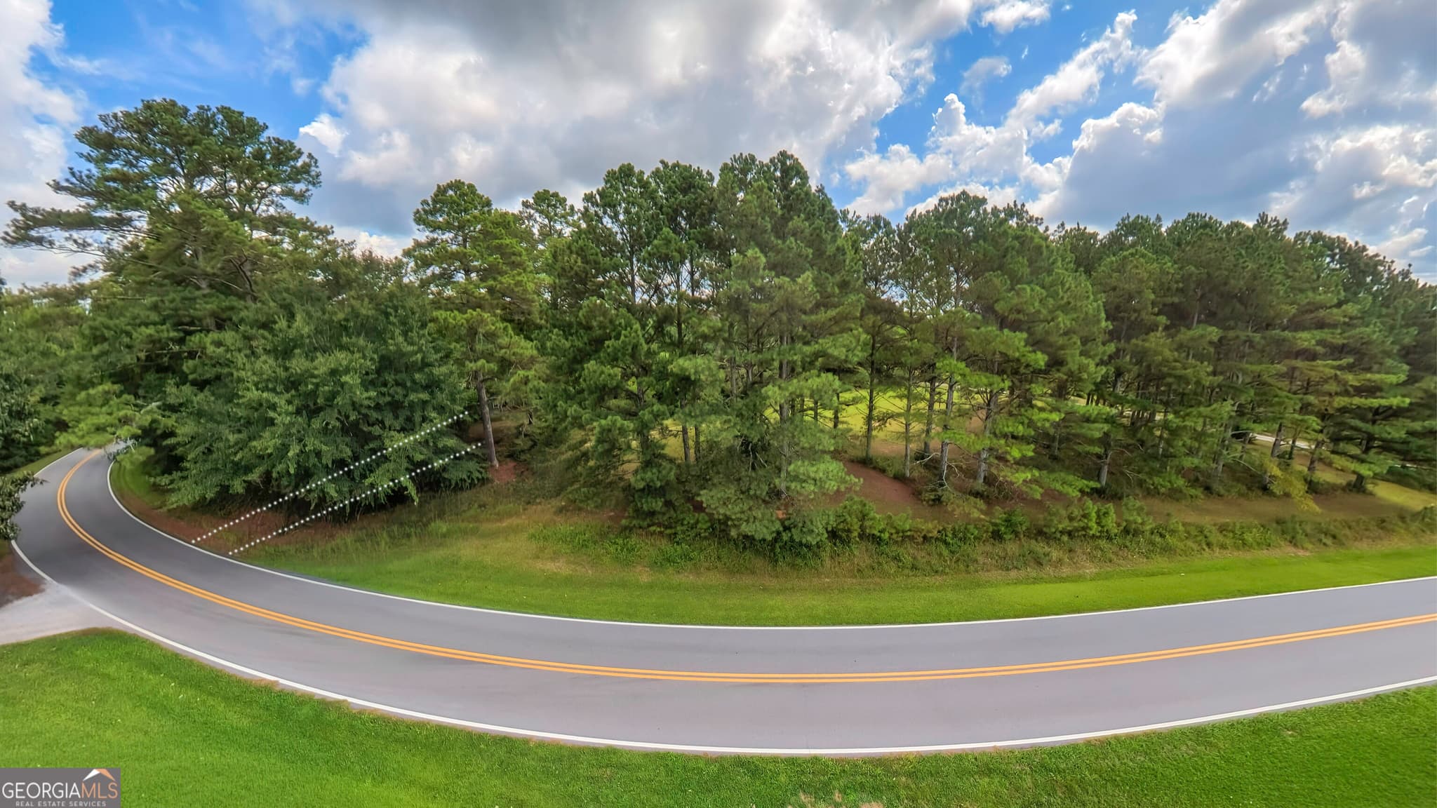 agriculture for sale at 2448 Steadman Road, Tallapoosa, GA 30176 — photo 4