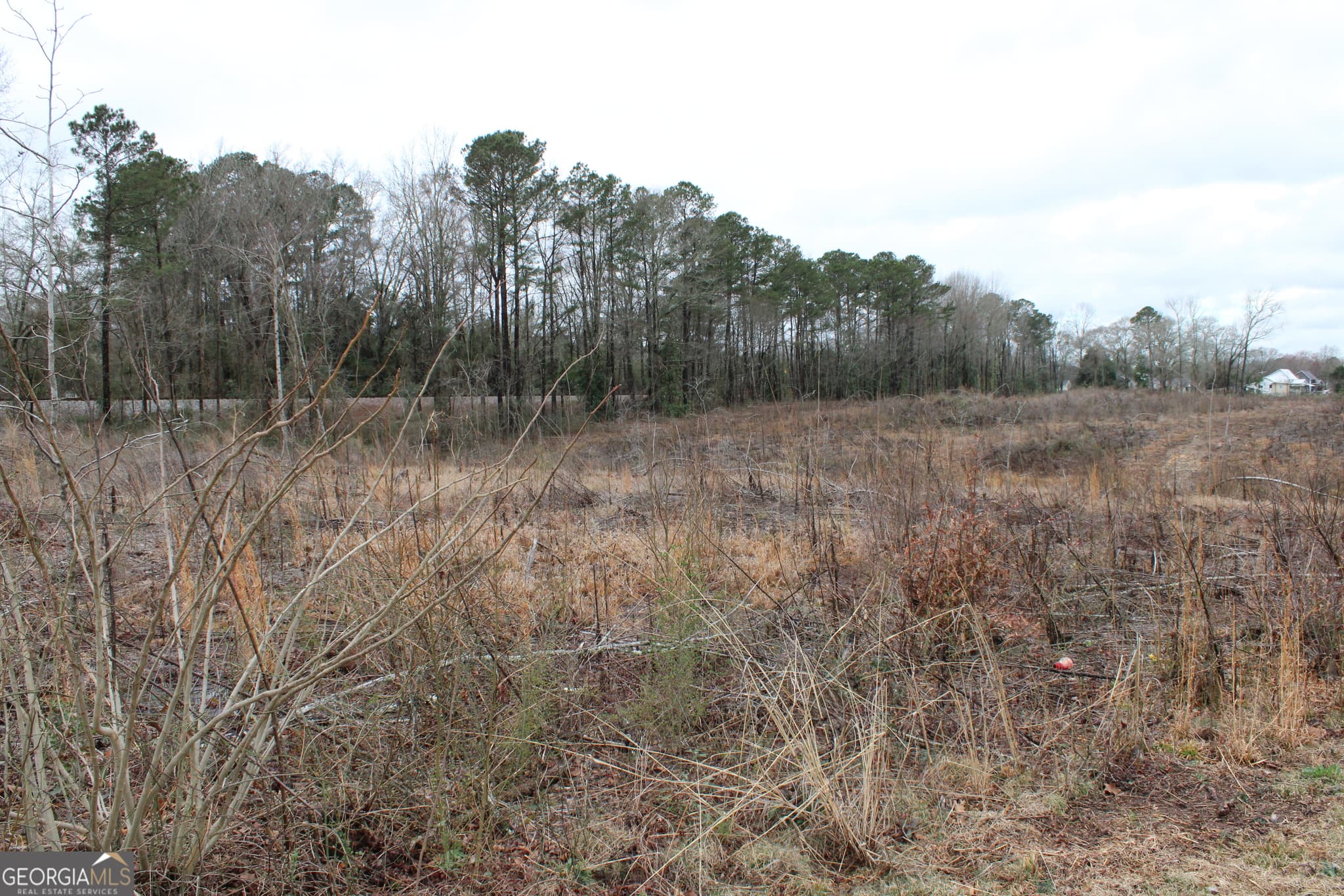 unimproved land for sale at 1262 Highway 16, Jackson, GA 30233 — photo 6