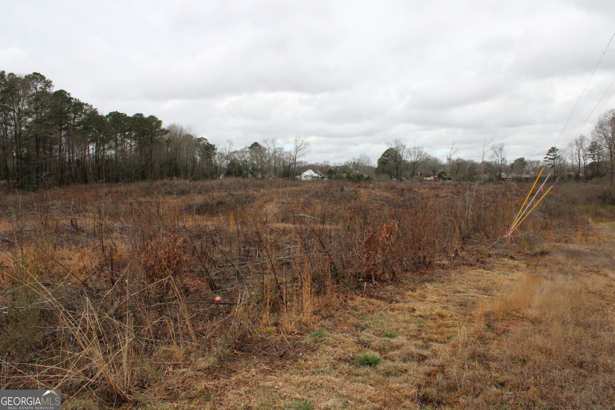 unimproved land for sale at 1262 Highway 16, Jackson, GA 30233 — photo 5