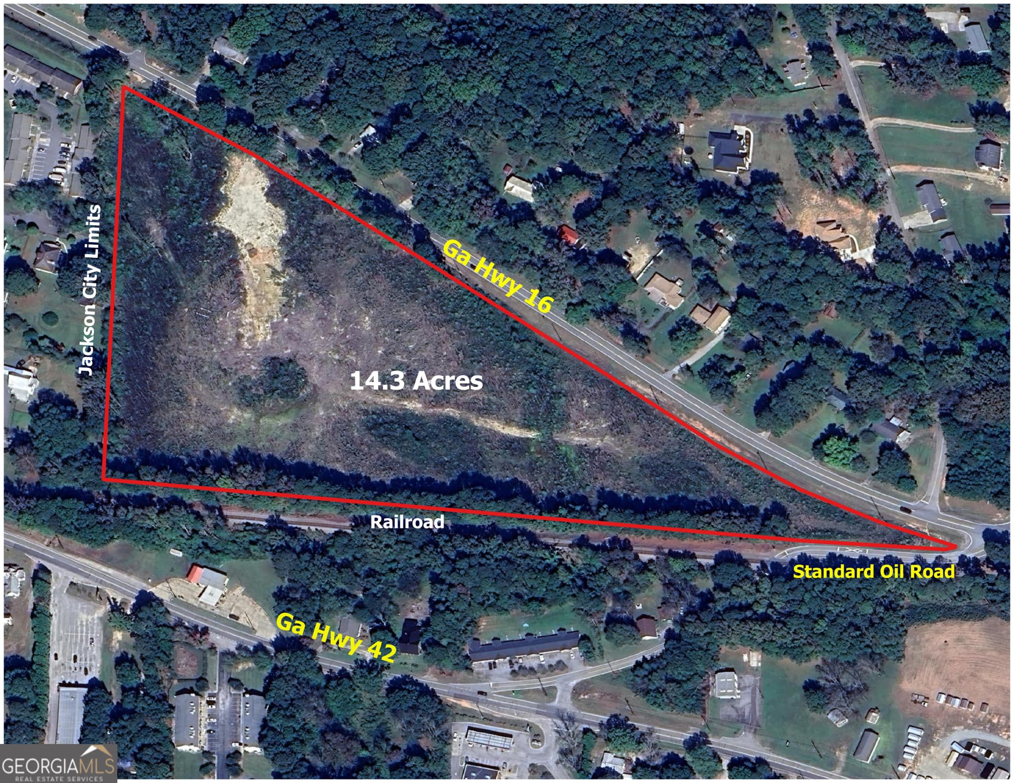 unimproved land for sale at 1262 Highway 16, Jackson, GA 30233 — photo 4