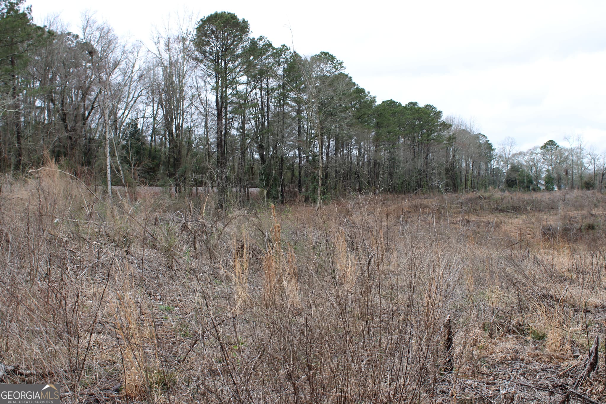 unimproved land for sale at 1262 Highway 16, Jackson, GA 30233 — photo 8