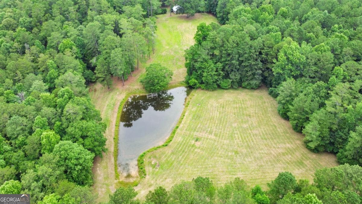 residential lot for sale at 0 Hutcheson Ferry Road, Chattahoochee Hills, GA 30268 — photo 7